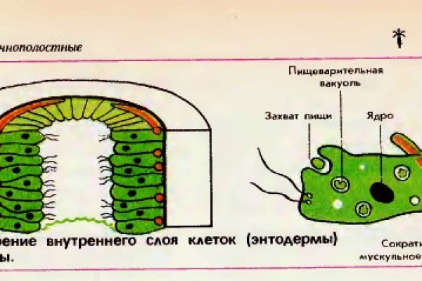 Кракен 2krn