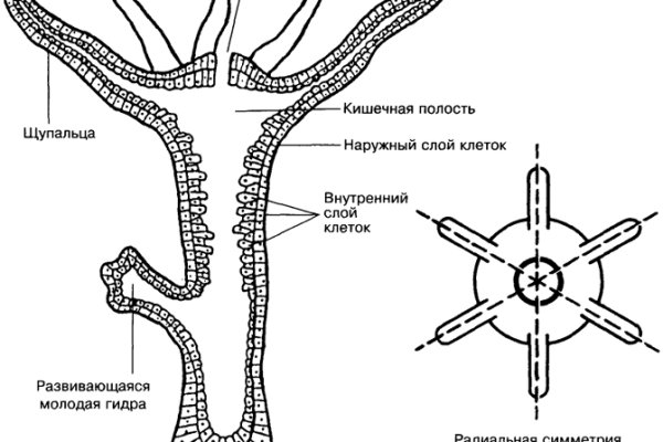 Как сделать заказ на кракен